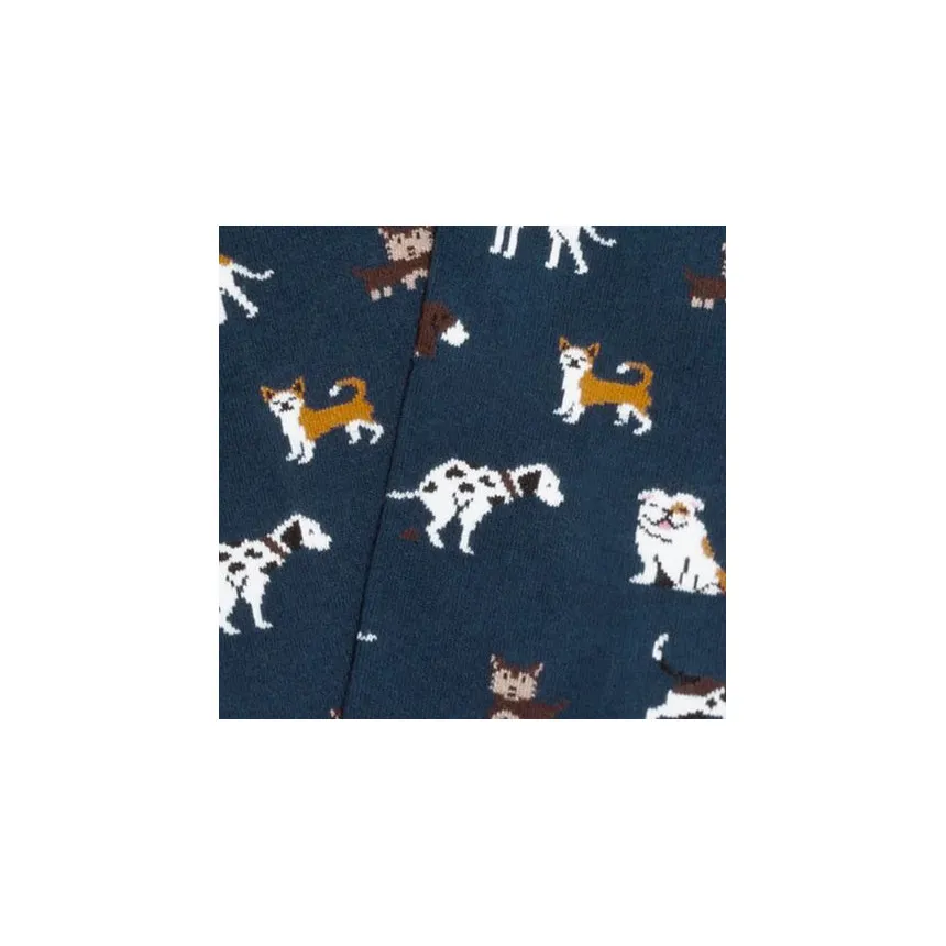Calcetines Jimmy Lion Dogs Unisex Azul 