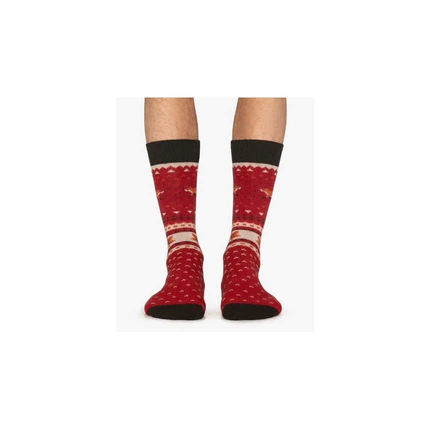 Calcetines Jimmy Lion Winter Fox Unisex Rojo 