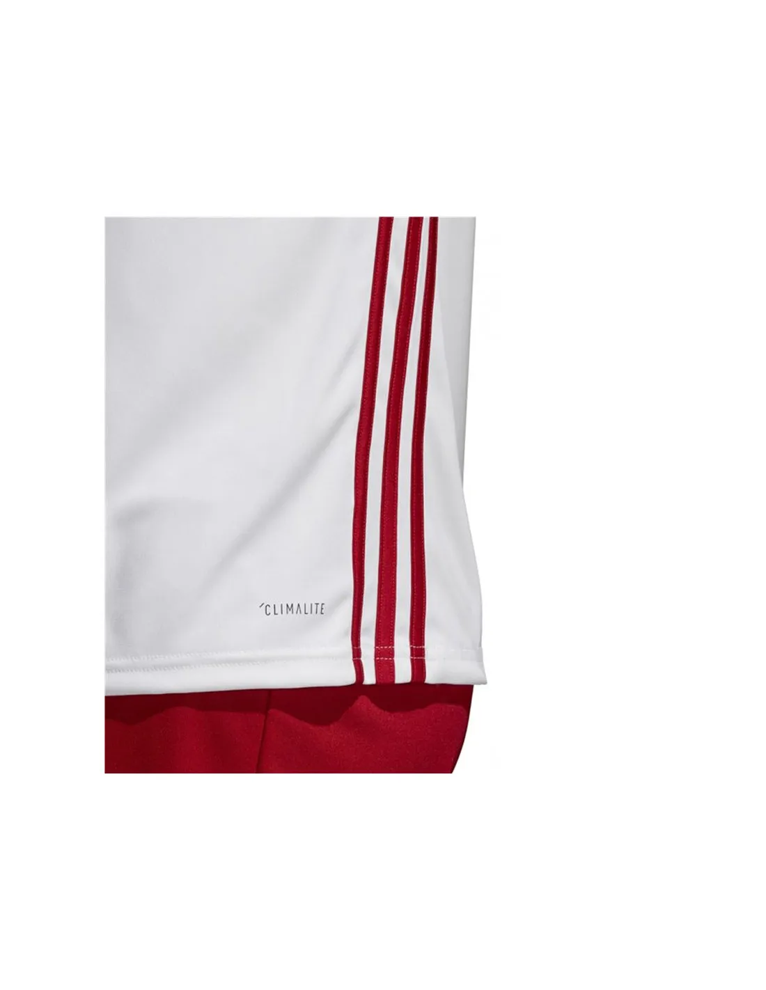 Camiseta de fútbol adidas Regista 18