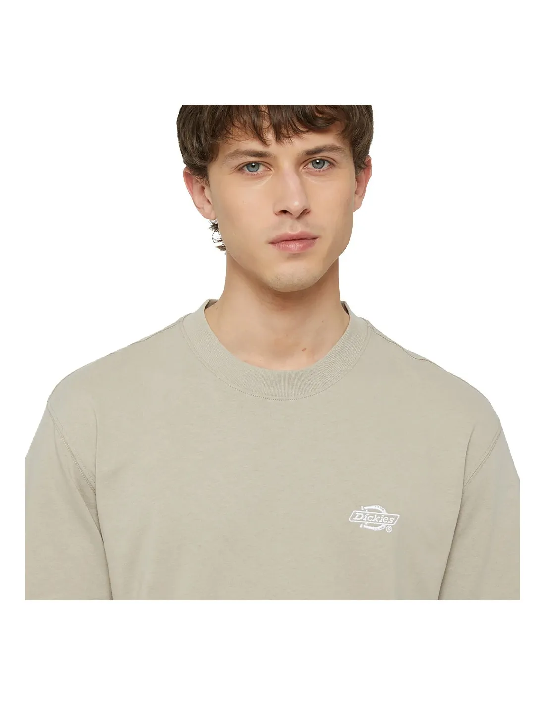 DICKIES SUMMERDALE TEE SS SANDSTONE