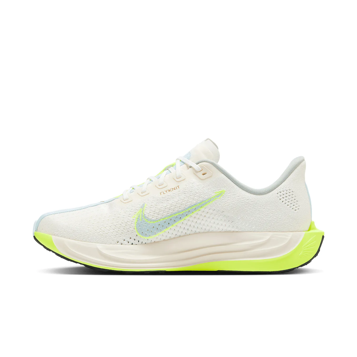 Nike Pegasus Plus