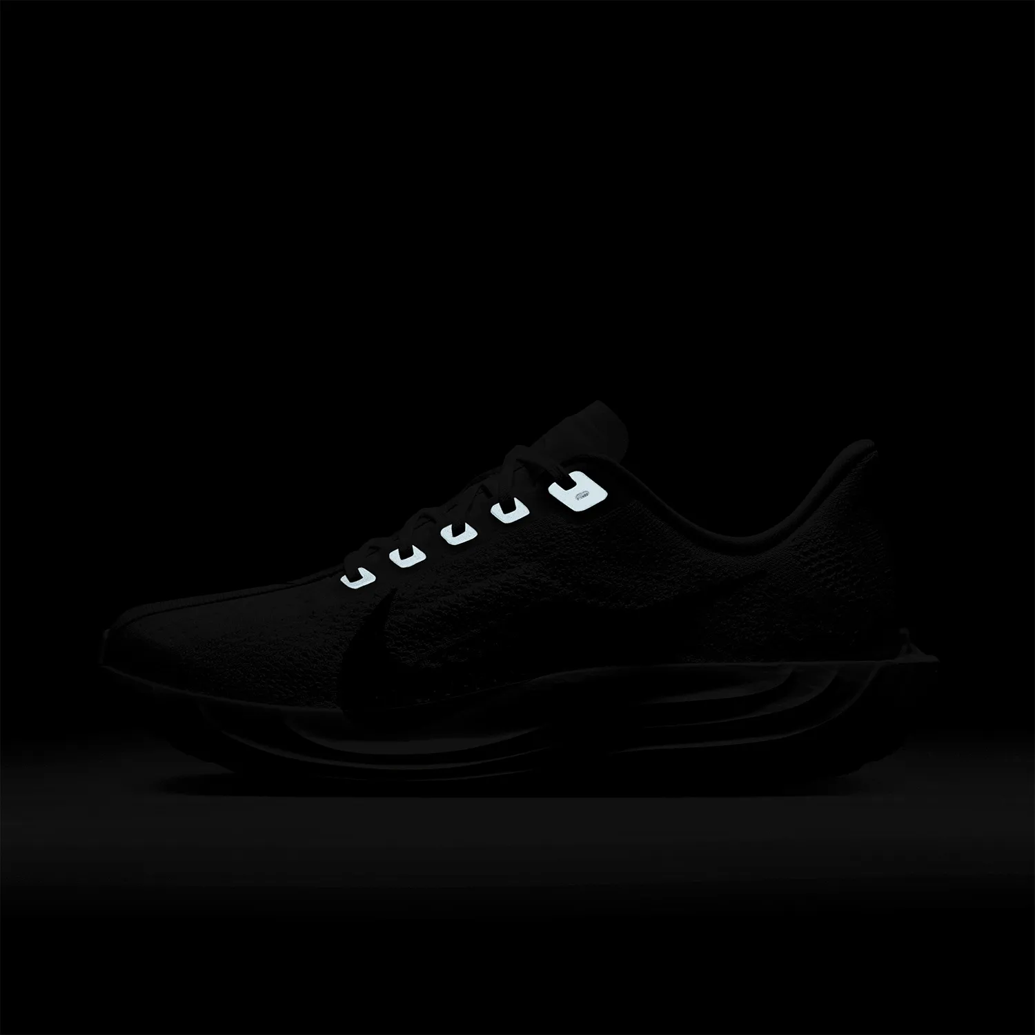 Nike Pegasus Plus
