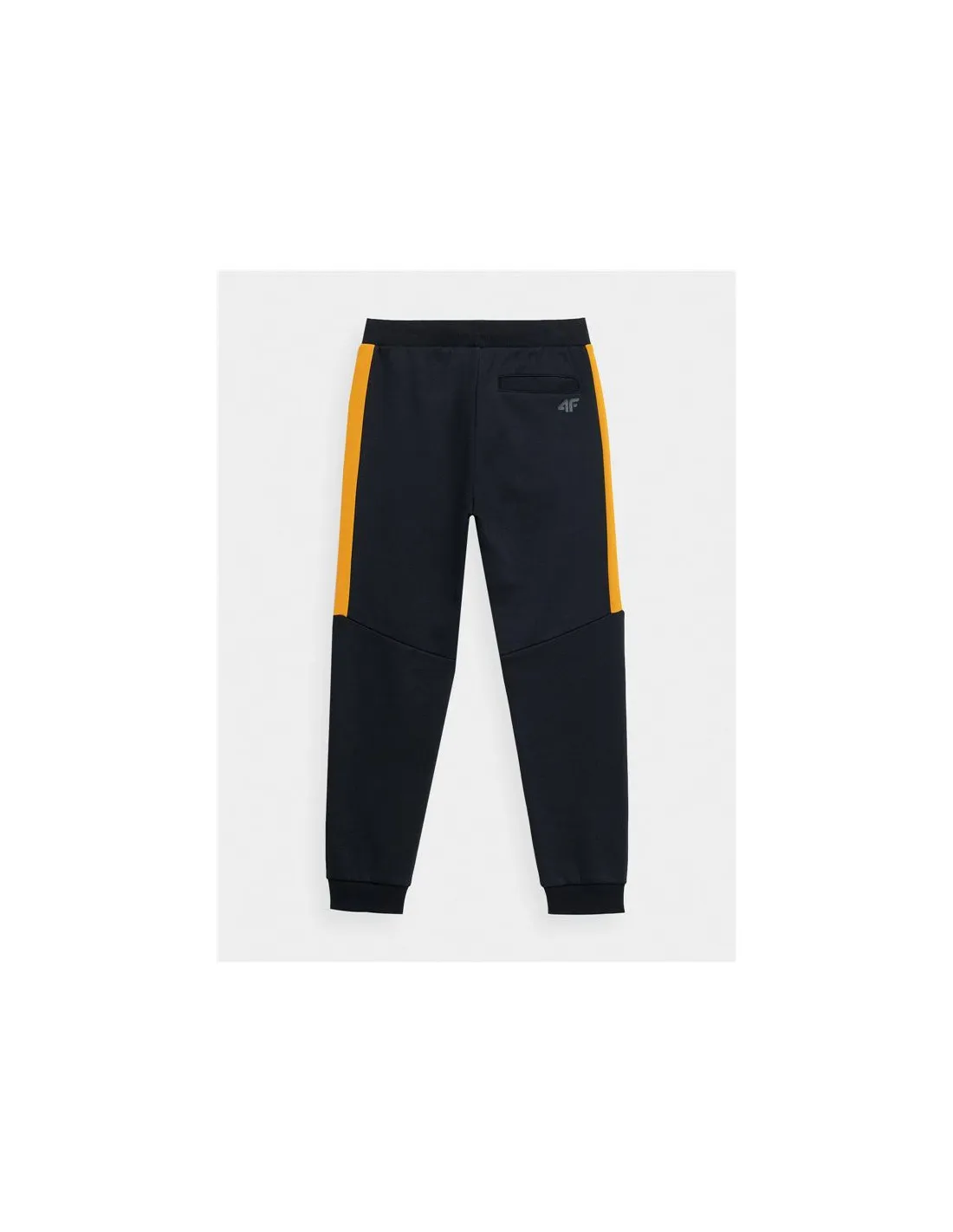 Pantalones 4F JSPMD002 Niño Azul